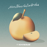 เราคงได้พบกันในสักวัน (Single)