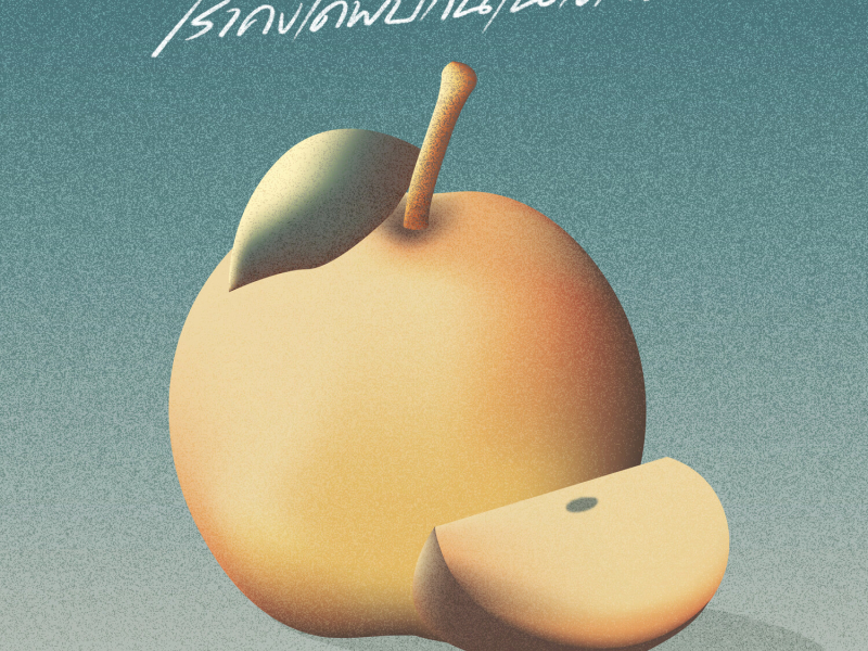 เราคงได้พบกันในสักวัน (Single)