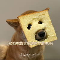 舔狗的剧本里舔狗才是主角 (Single)