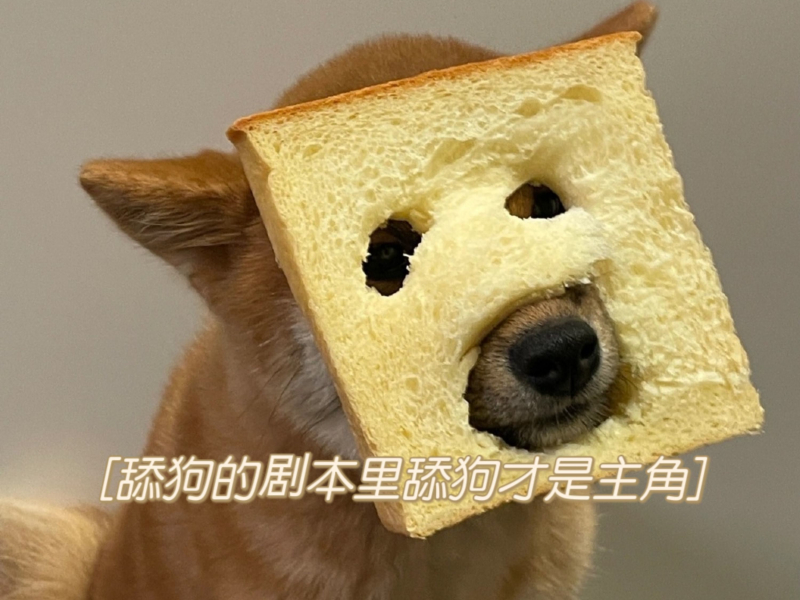 舔狗的剧本里舔狗才是主角 (Single)