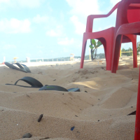 Alagoas Joia do Brasil (Single)