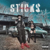 STICKS (Single)
