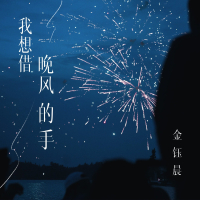 我想借晚风的手 (Single)
