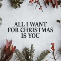 All I Want for Christmas Is You (Single)