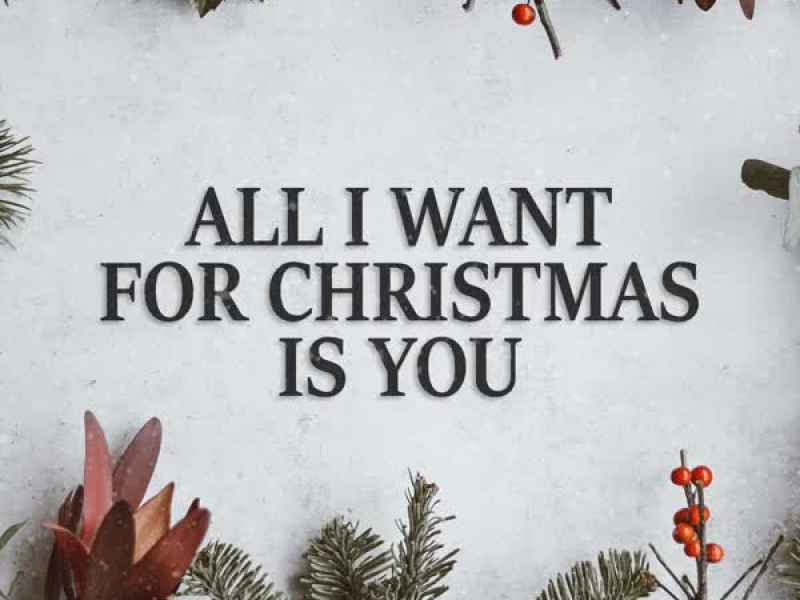 All I Want for Christmas Is You (Single)