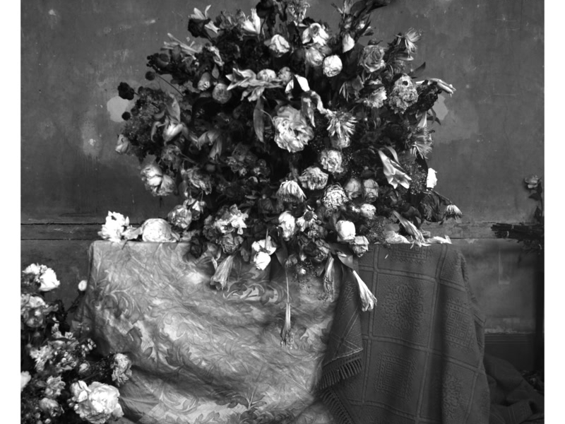 Too Good At Goodbyes (Snakehips Remix) (Single)