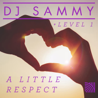 A Little Respect (Single)