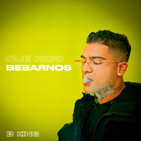 Que Rico Besarnos (Single)