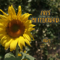 Eres Mi Felicidad (Single)