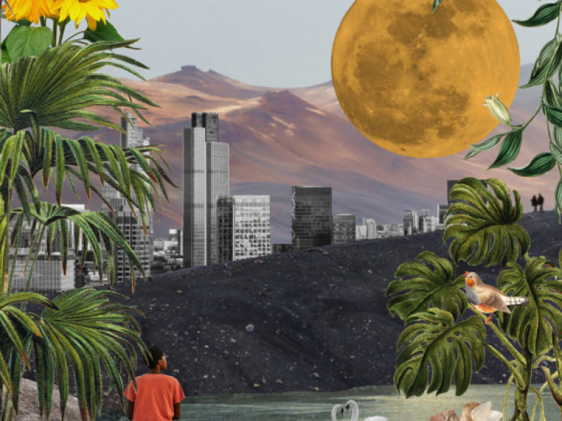 Culture of Love (Single)