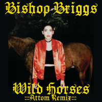 Wild Horses (Attom Remix) (Single)