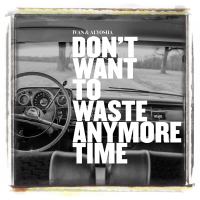 Don't Want to Waste Anymore Time (Single)