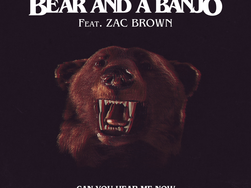 Can You Hear Me Now (Remix)