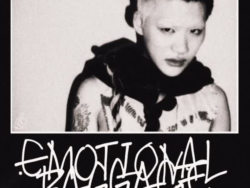 EMOTIONAL BAGGAGE (EP)