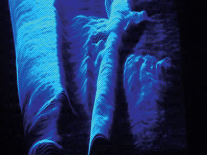 In Search Of Darkness (Single)