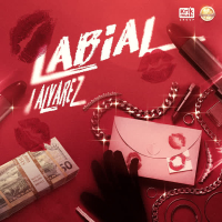 LABIAL (Single)