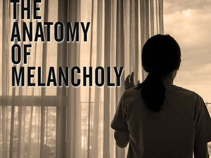 The Anatomy Of Melancholy