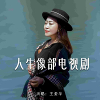 人生像部电视剧 (Single)