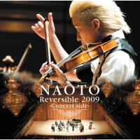 NAOTO Reversible 2009 - Concert side