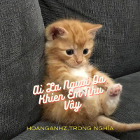 Ai Là Người Đã Khiến Em Như Vậy (Remix) (Hoanganhz x Trọng Nghĩa) (Single)