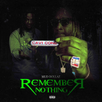 Remember Nothing (Single)