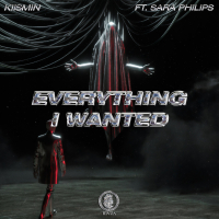 everything i wanted (Single)