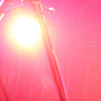 The Want (Single)