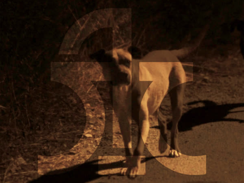 Niotho Entona (Single)