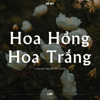 Hoa Hồng Hoa Trắng (Lofi) (Single)