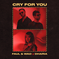 Cry For You (Single)