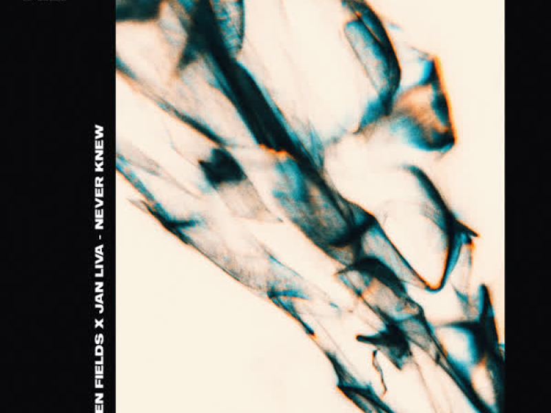 Never Knew (Single)