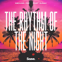 The Rhythm Of The Night (Single)