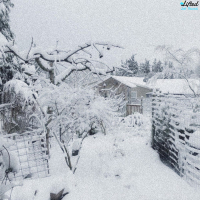 Monday Mocha (Single)