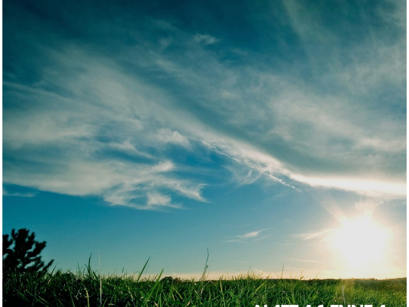 Stranded Deep (Single)