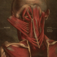 Rapture Capture (Single)