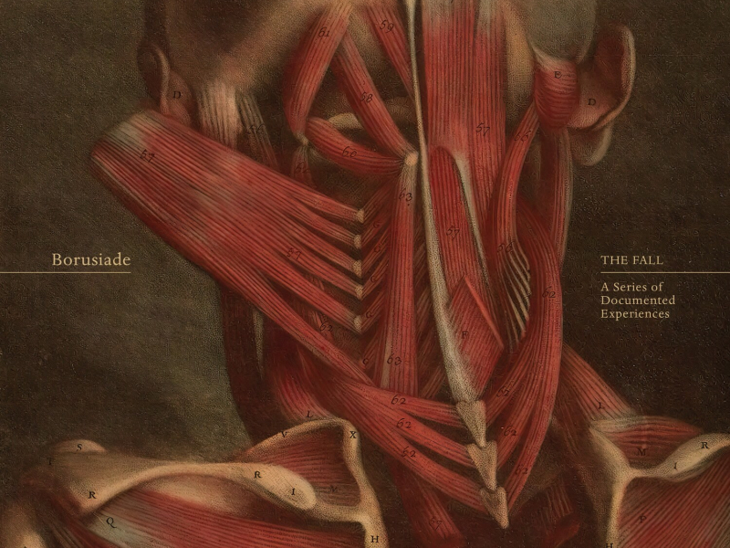 Rapture Capture (Single)