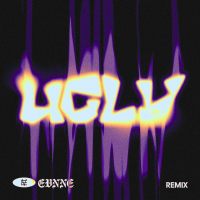 UGLY (Will Not Fear Remix) (Single)