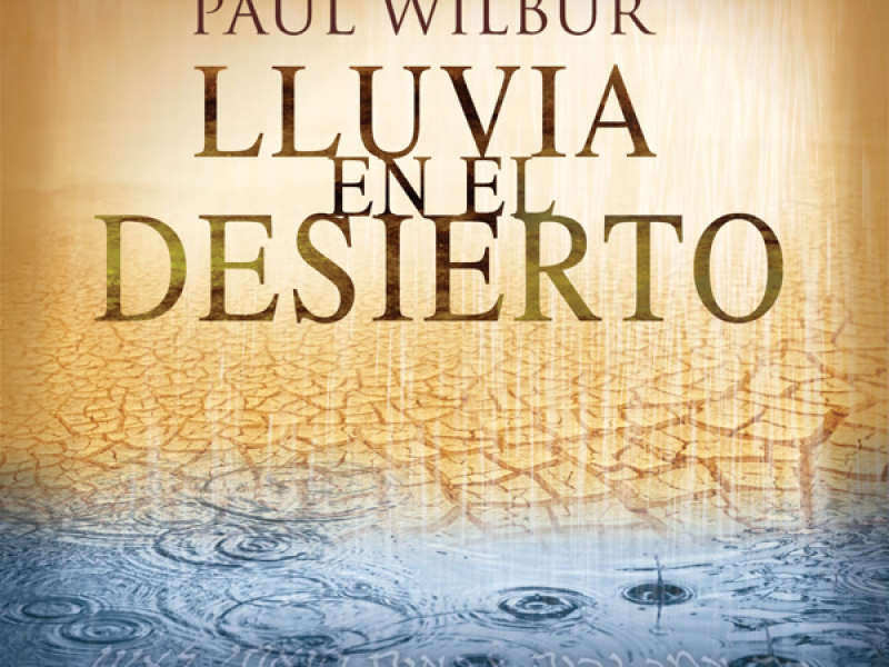 Lluvia en el Desierto