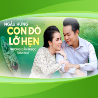 Ngẫu Hứng Con Đò Lỡ Hẹn (Single)