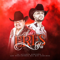 Si No Eres Tú (Single)