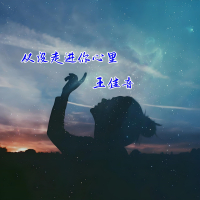 从没走进你心里 (Single)