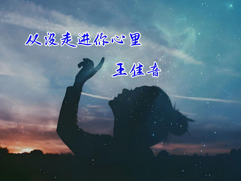 从没走进你心里 (Single)