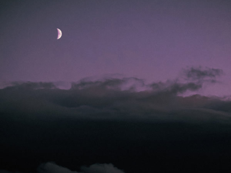 the rest is history (Single)