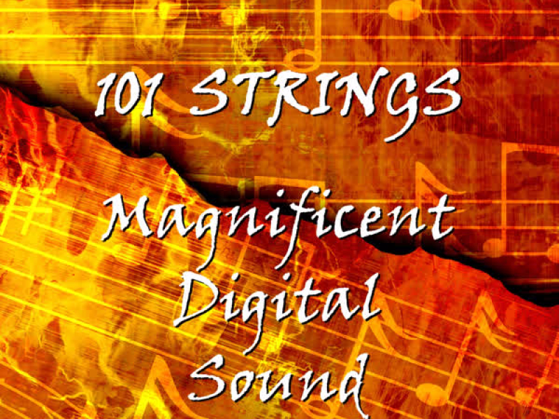 Magnificent Digital Sound