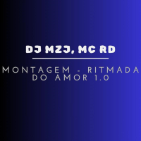 MONTAGEM - RITMADA DO AMOR 1.0 (Single)
