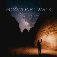 Moonlight Walk (Single)
