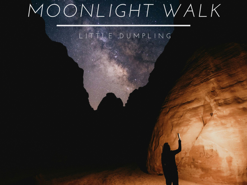 Moonlight Walk (Single)