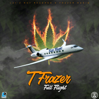 Full Flight (Single)