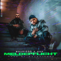 Meldepflicht (Single)