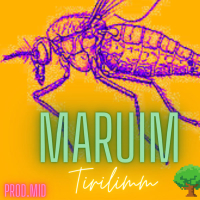 MARUIM (Single)